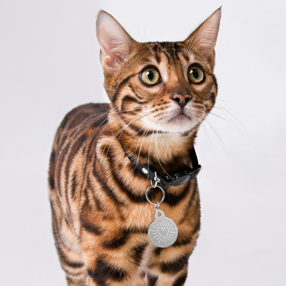 Andre Republic pet ID tag